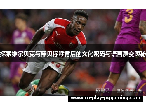 探索维尔贝克与黑贝称呼背后的文化密码与语言演变奥秘