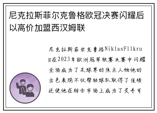 尼克拉斯菲尔克鲁格欧冠决赛闪耀后以高价加盟西汉姆联 尼克拉斯菲尔克鲁格欧冠决赛闪耀后以高价加盟西汉姆联