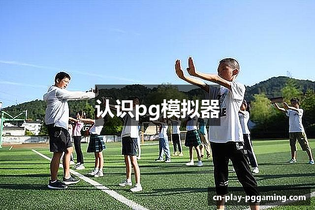 认识pg模拟器